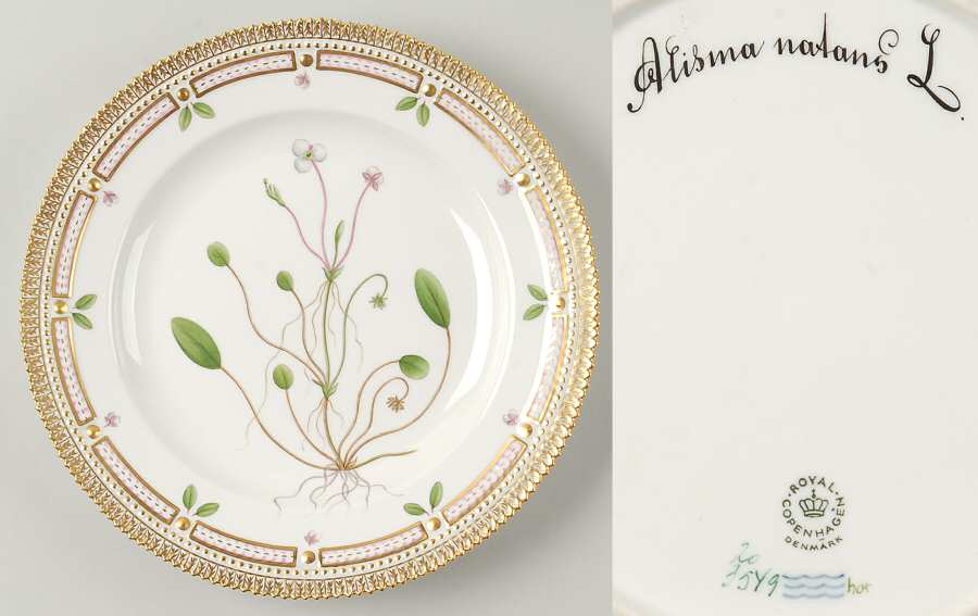 Flora Danica (1961 To Current) Dinner Plate-Alisma natans L