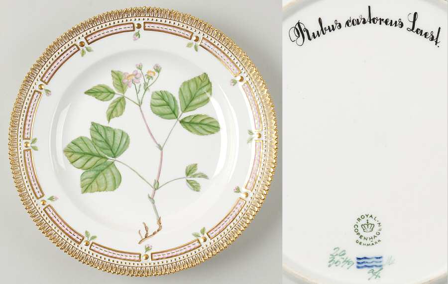 Flora Danica (1961 To Current) Dinner Plate-Rubus castoreus Laest