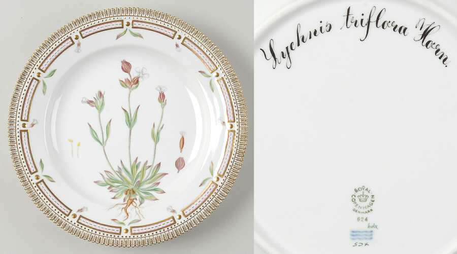 Flora Danica (1961 To Current) Dinner Plate-Lychnis triflora Horn