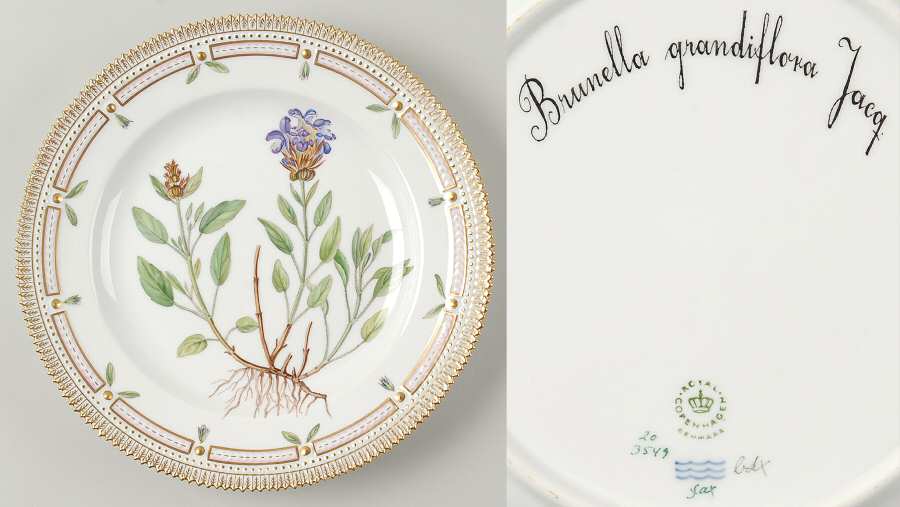 Flora Danica (1961 To Current) Dinner Plate-Brunella grandiflora Jacq