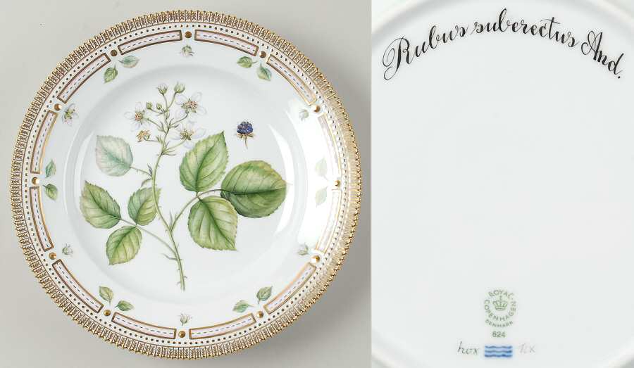 Flora Danica (1961 To Current) Dinner Plate-Rubus suberectus And