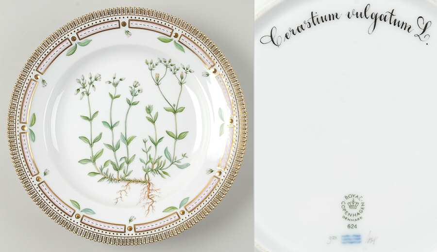 Flora Danica (1961 To Current) Dinner Plate-Cerastium vulgatum L