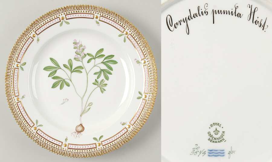 Flora Danica (1961 To Current) Dinner Plate-Corydalis pumila Host