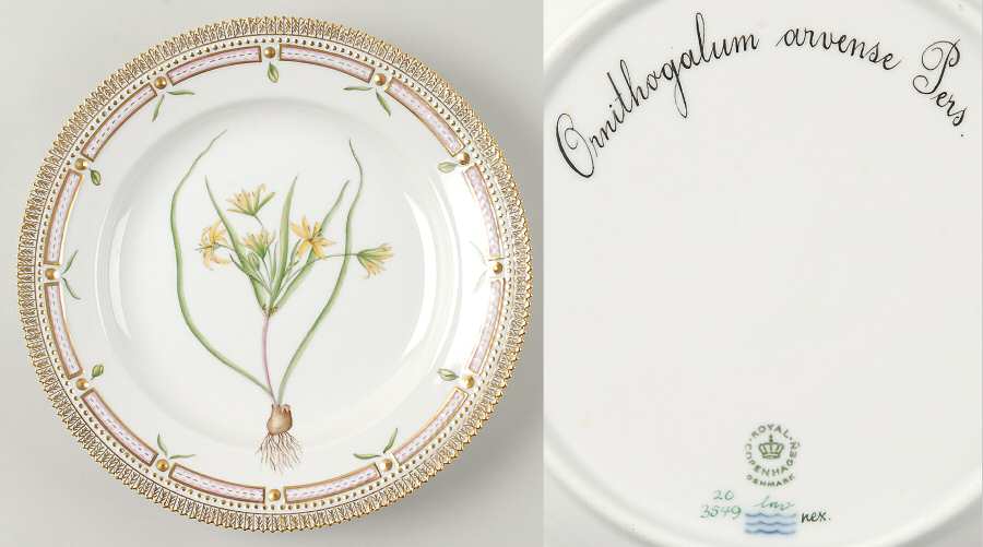 Flora Danica (1961 To Current) Dinner Plate-Ornithogalum arvense Pers