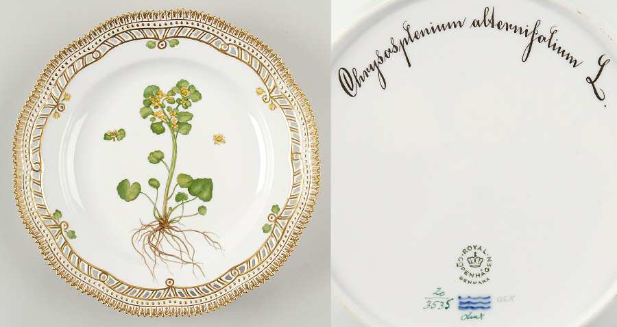 Flora Danica (1961 To Current) 10" Pierced Dinner Plate/Fruit Std-Chrysosplenium