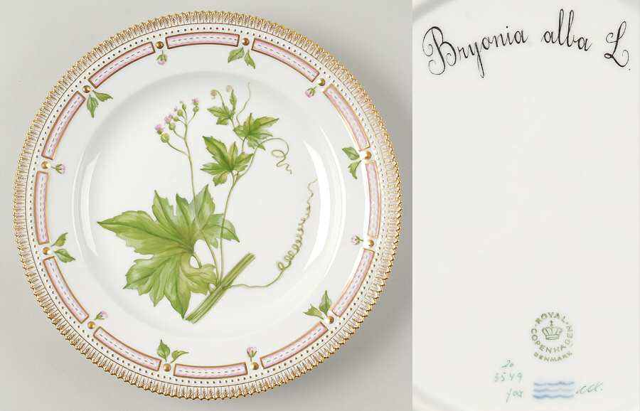 Flora Danica (1961 To Current) Dinner Plate-Bryonia alba L