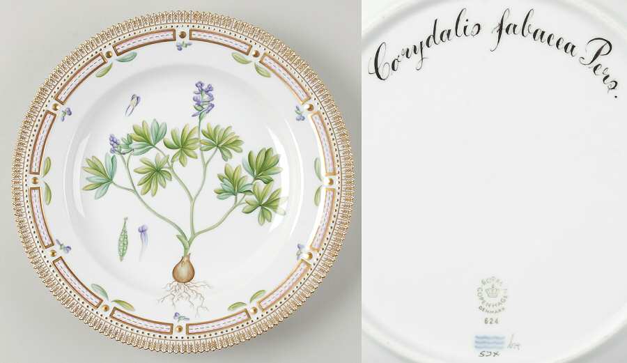Flora Danica (1961 To Current) Dinner Plate-Corydalis fabacca Pers