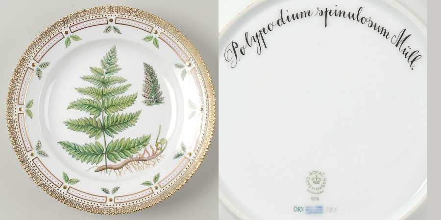 Flora Danica (1961 To Current) Dinner Plate-Polypodium spinulosum Mull