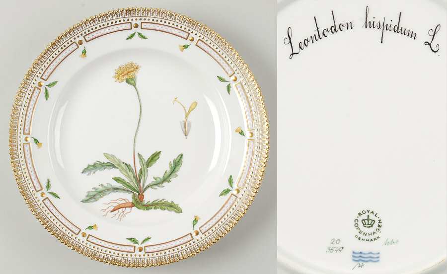 Flora Danica (1961 To Current) Dinner Plate-Leontodon hispidum L