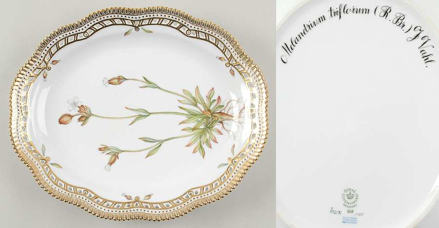 Flora Danica (1961 To Current) 10" Oval Fruit Stand-Melandrium triflorum (R.BR) J