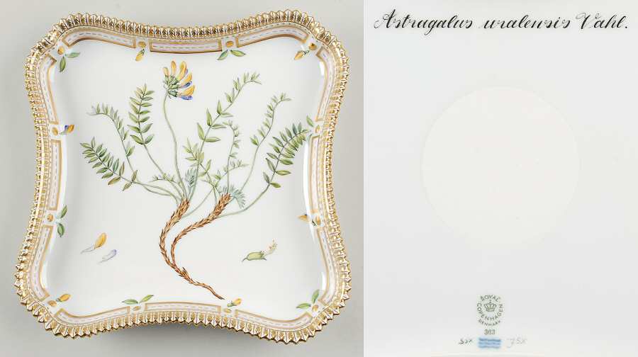 Flora Danica (1961 To Current) 9" Square Tray-Astragalus uralensis Vahl