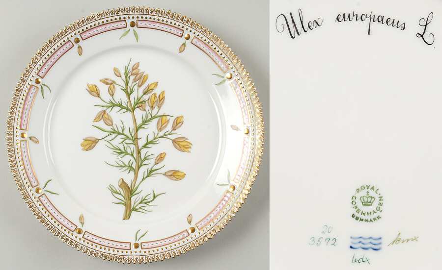 Flora Danica (1961 To Current) Luncheon Plate-Ulex europaeus L