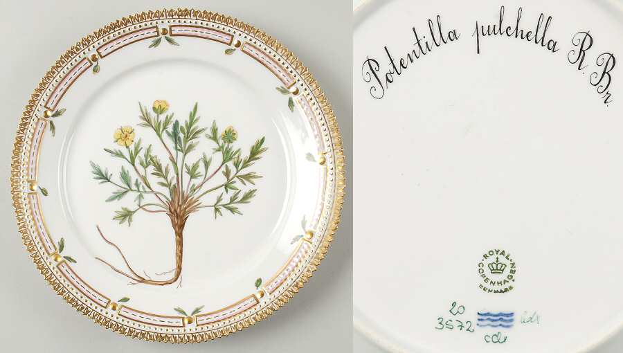 Flora Danica (1961 To Current) Luncheon Plate-Potentilla pulchella R Br