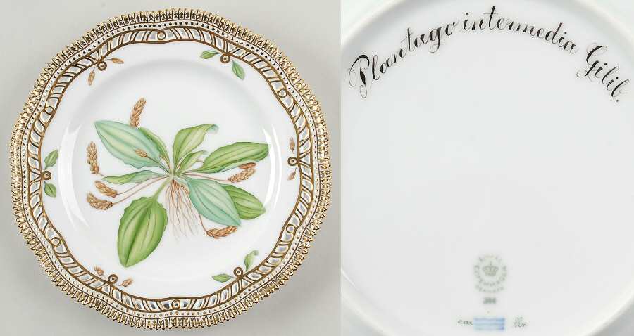Flora Danica (1961 To Current) 9" Pierced Luncheon Plate/Fruit Std-Plantago Inter