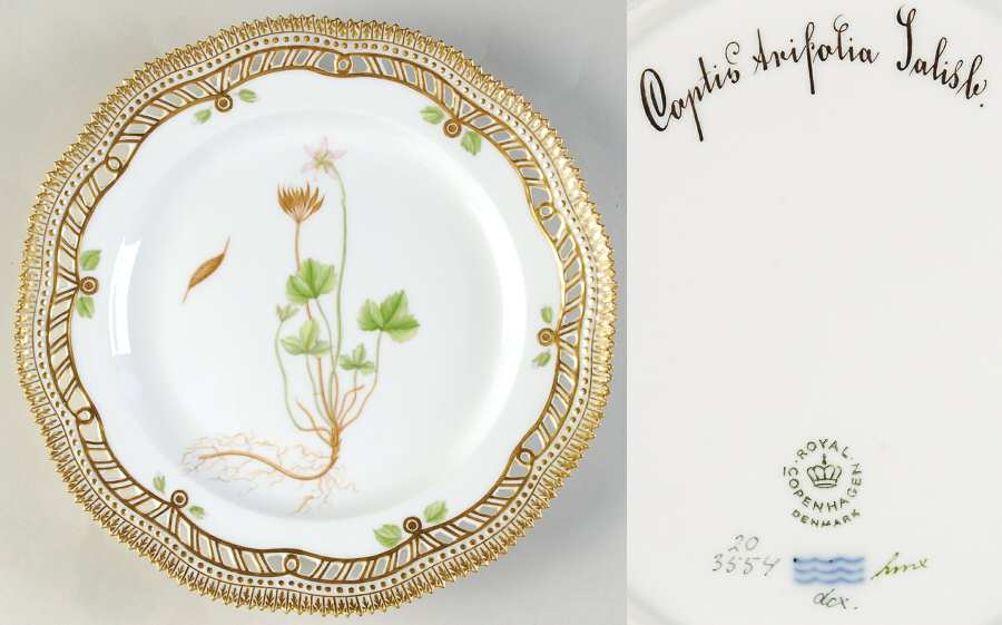 Flora Danica (1961 To Current) 9" Pierced Luncheon Plate/Fruit Std-Coptis Arifoli
