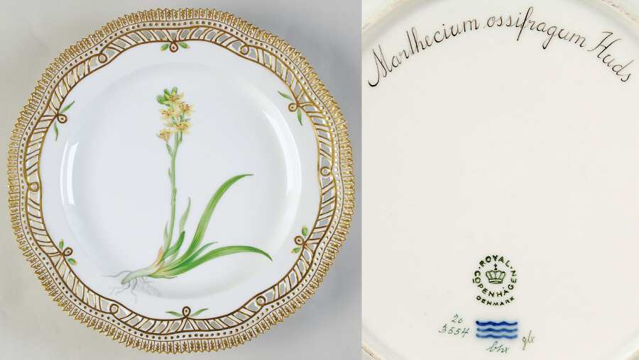 Flora Danica (1961 To Current) 9" Pierced Luncheon Plate/Fruit Std-Marthecium os