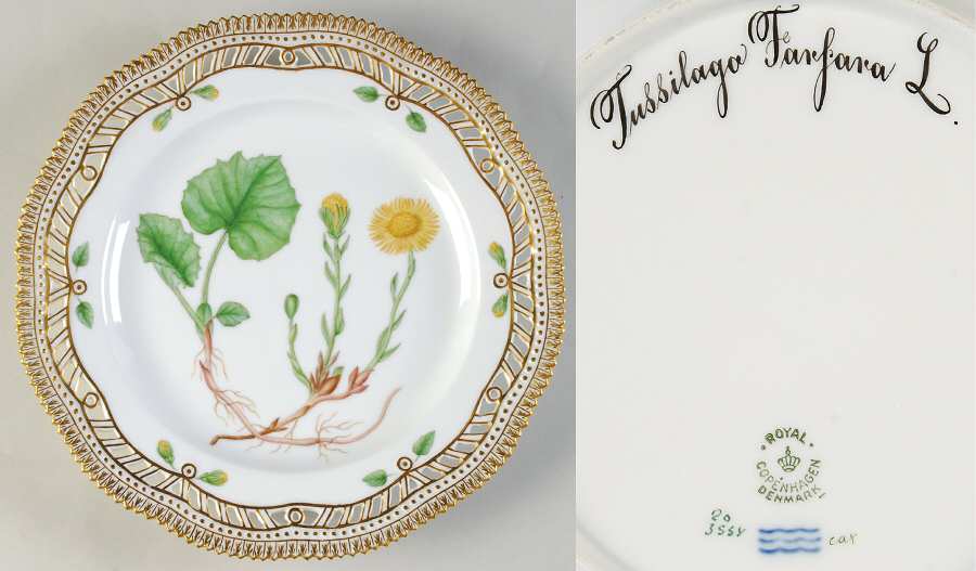 Flora Danica (1961 To Current) 9" Pierced Luncheon Plate/Fruit Std-Tussilago Far