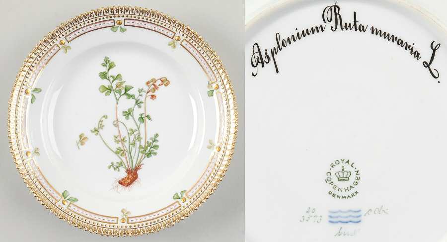 Flora Danica (1961 To Current) Salad Plate-Asplenium Ruta muraria L