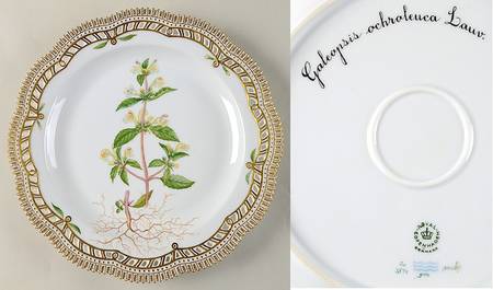 Flora Danica (1961 To Current) 11" Round Pierced Platter-Galeopsis ochroleuca Lau