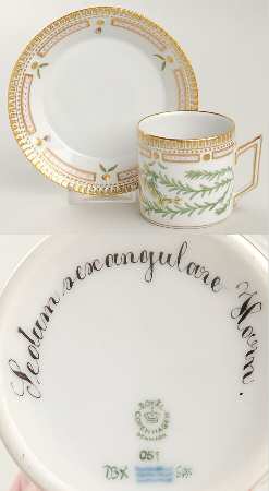 Flora Danica (1961 To Current) Chocolate Cup & Smooth Saucer-Sedum sexangulare Ho