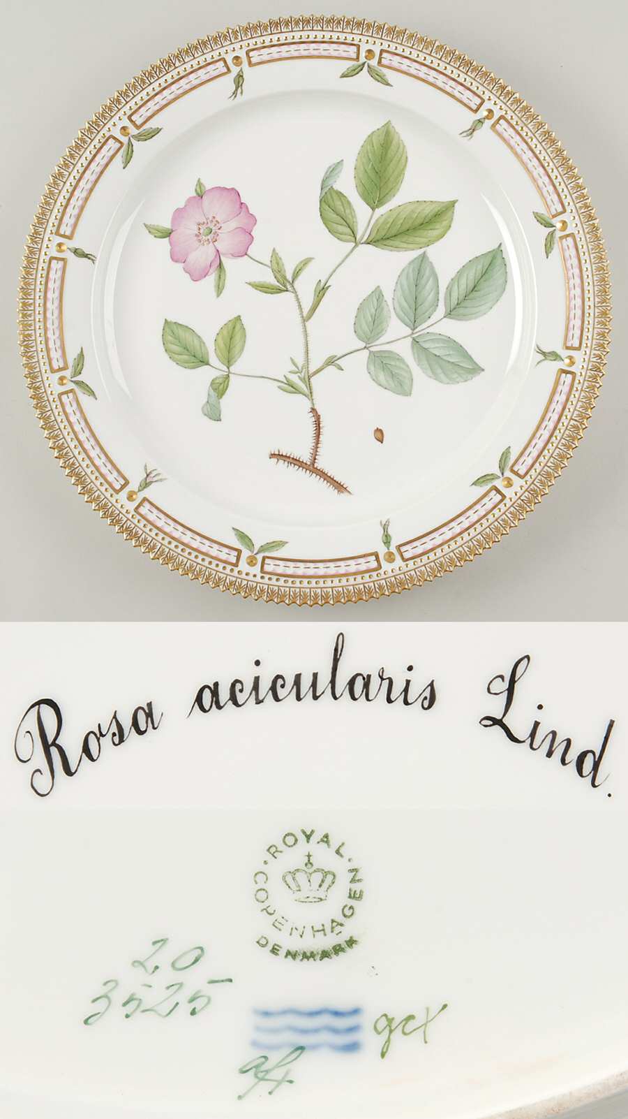 Flora Danica (1961 To Current) 14" Round Platter-Rosa acicularis Lind