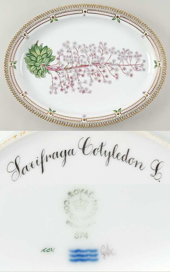 Flora Danica (1961 To Current) 18" Oval Serving Platter-Saxifraga cotyledon L