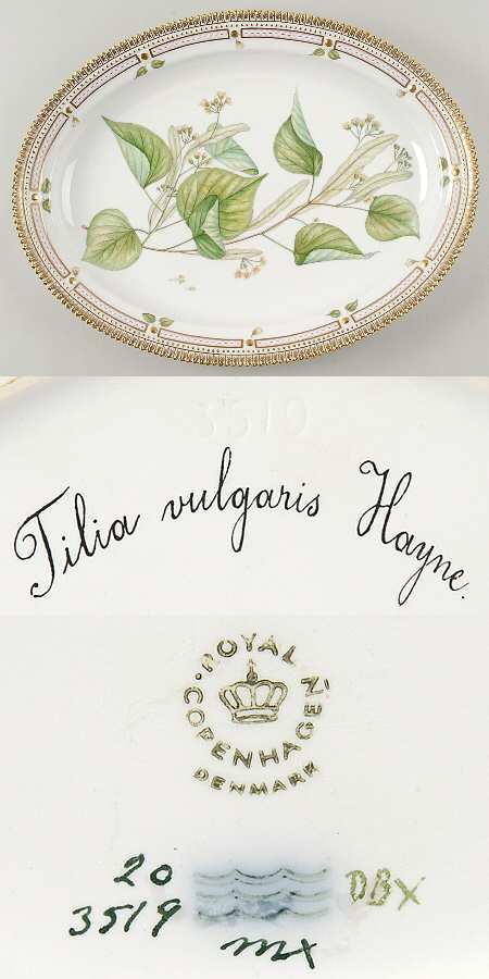 Flora Danica (1961 To Current) 17" Oval Serving Platter-Tilia vulgaris hayne