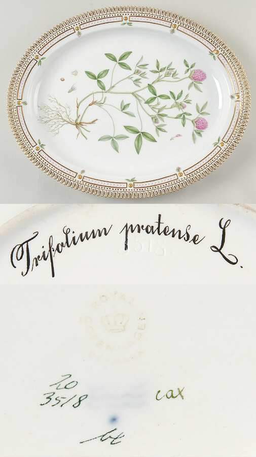 Flora Danica (1961 To Current) 15" Oval Serving Platter-Trifolium pratense L