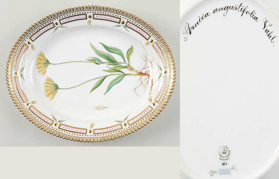 Flora Danica (1961 To Current) 9" Oval Serving Platter-Arnica angustifolia Vahl