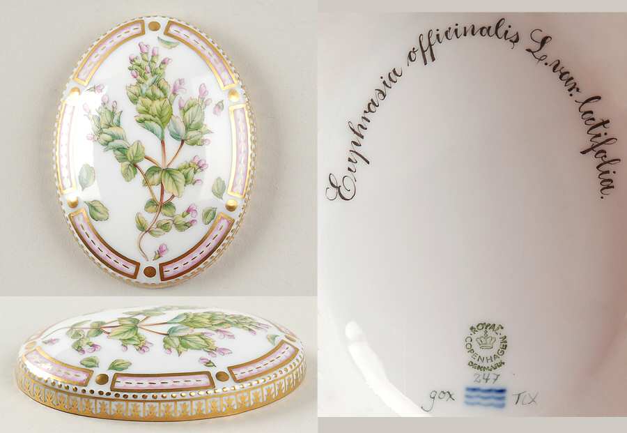 Flora Danica (1961 To Current) Small Oval Box-Lid-Euphrasia officinalis L var lat