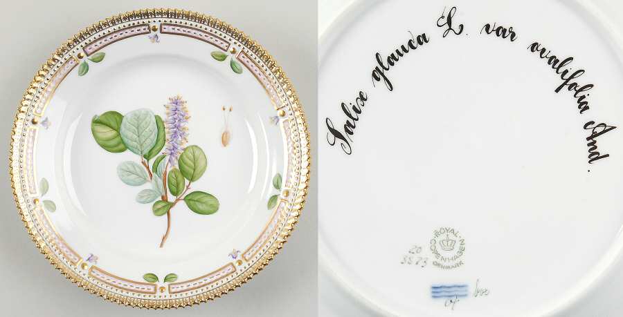 Flora Danica (1961 To Current) Salad Plate-Salix glauca L var ovalifolia And