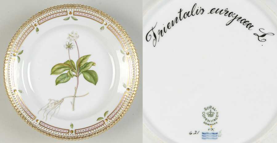Flora Danica (1961 To Current) Salad Plate-Trientalis europaea L