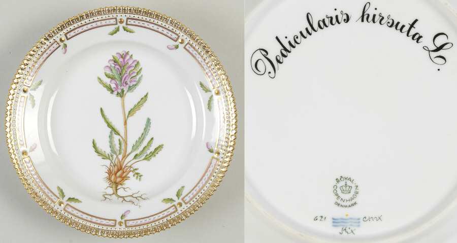 Flora Danica (1961 To Current) Salad Plate-Pedicularis hirsuta L