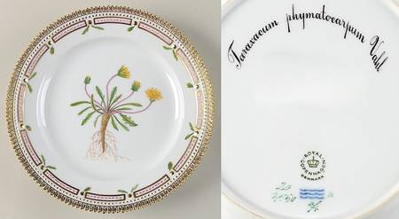 Flora Danica (1961 To Current) Luncheon Plate-Tarazacum phymatocarpum Vahl