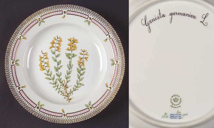 Flora Danica (1961 To Current) Dinner Plate-Genista germanica L