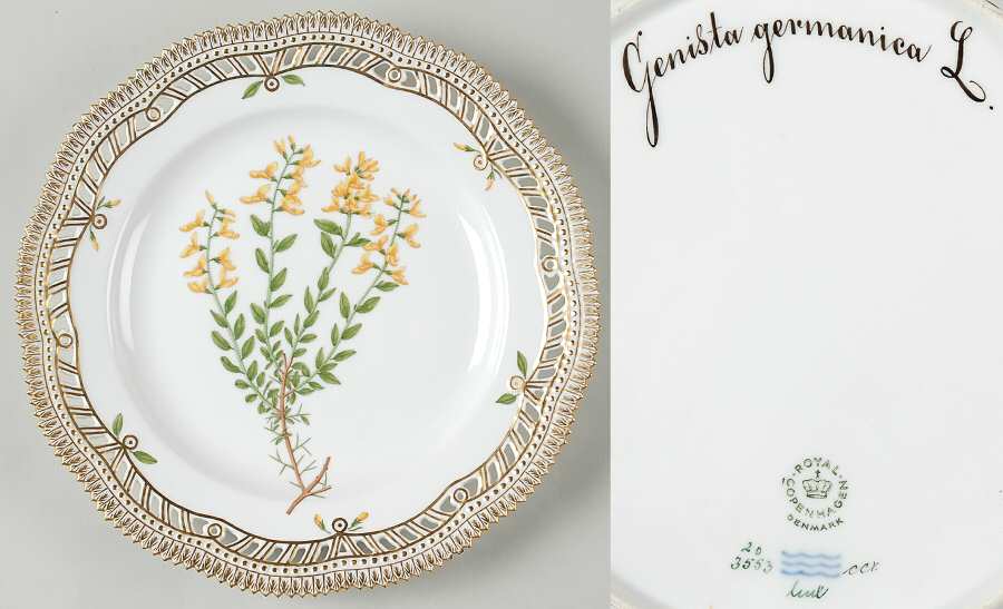 Flora Danica (1961 To Current) Luncheon Plate-Genista germanica L
