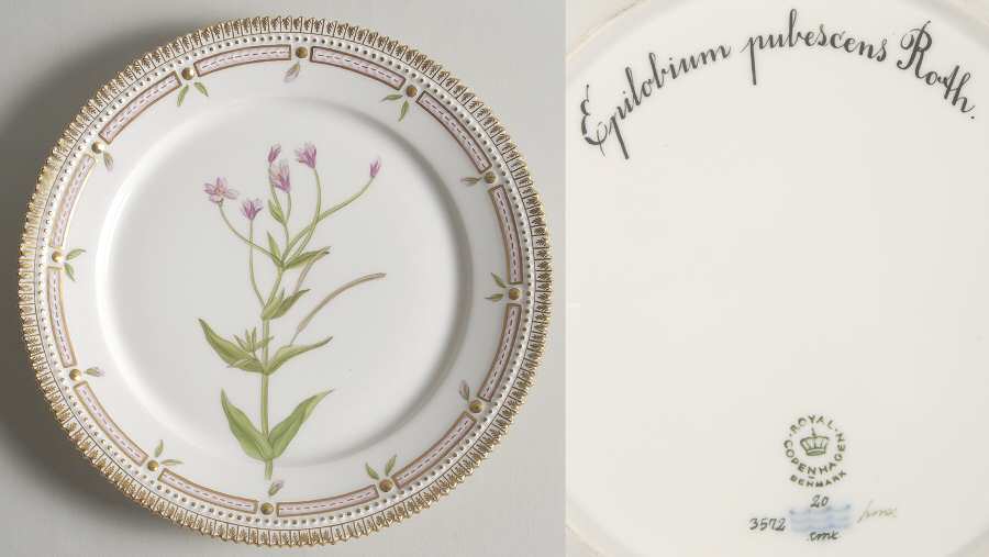 Flora Danica (1961 To Current) Luncheon Plate-Epilobium pubescens Roth