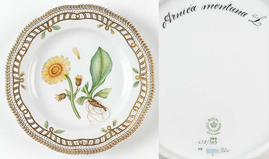 Flora Danica (1961 To Current) 10" Pierced Dinner Plate/Fruit Std-Arnica montana
