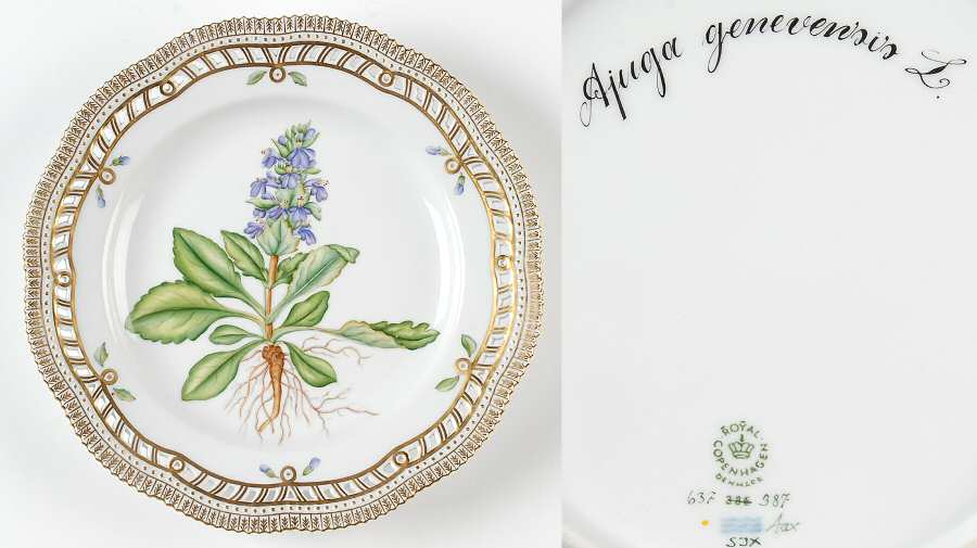 Flora Danica (1961 To Current) 10" Pierced Dinner Plate/Fruit Std-Ajuga genevensi