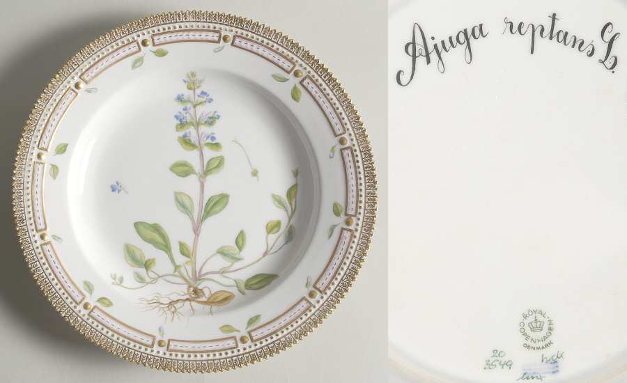 Flora Danica (1961 To Current) Dinner Plate-Ajuga Reptans L