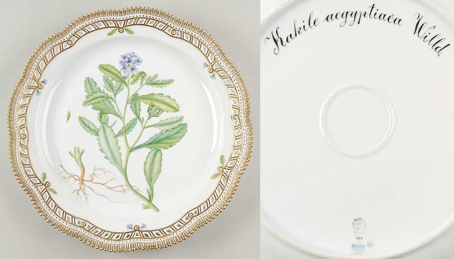 Flora Danica (1961 To Current) 14" Round Pierced Platter-Kakile aegyptiaca Willd