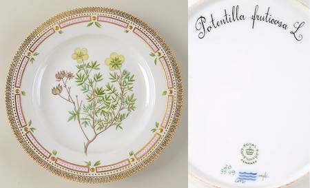 Flora Danica (1961 To Current) Dinner Plate-Potentilla fruticosa L.