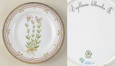 Flora Danica (1961 To Current) Dinner Plate-Erythraca littoralis