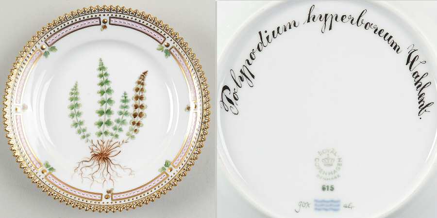 Flora Danica (1961 To Current) Bread & Butter Plate-Polypodium hyperboreum Wahlen