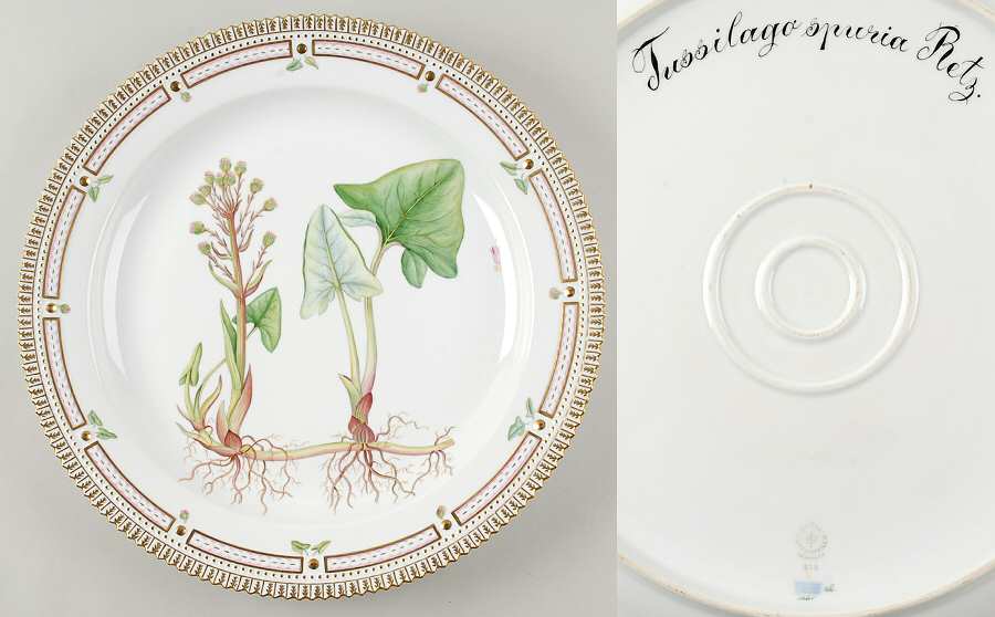 Flora Danica (1961 To Current) 15" Round Platter-Tussilago spuria Retz
