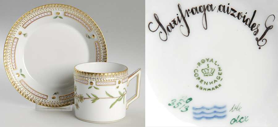 Flora Danica (1961 To Current) Serrated Chocolate Cup & Saucer-Saxifraga aizoides