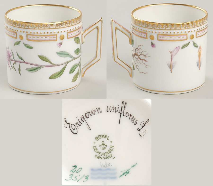 Flora Danica (1961 To Current) Chocolate Cup-Erigeron uniflorus L