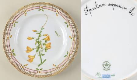 Flora Danica (1961 To Current) Dinner Plate-Spartium scoparium L