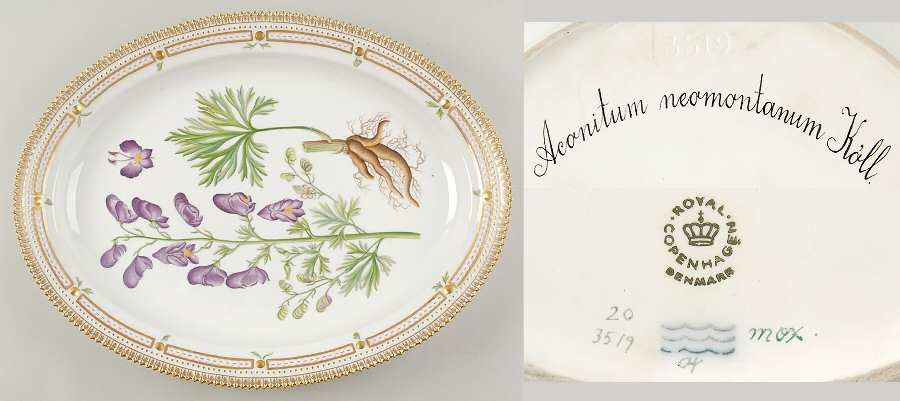Flora Danica (1961 To Current) 17" Oval Serving Platter-Aconitum neomontanum Koll