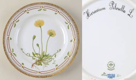 Flora Danica (1961 To Current) Dinner Plate-Hieracium Pilosella L.